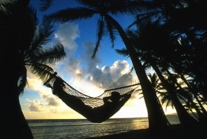 HAMMOCK-1_x360width